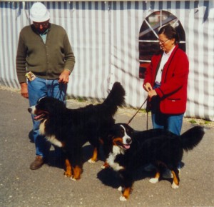YorgundInka1998