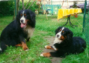 eddiundInka