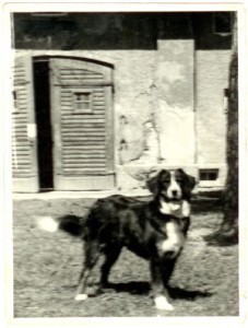 senta1953